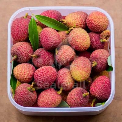 comprar Máquina de embalaje de atmósfera modificada de acero inoxidable para litchi fresco Fabricación en línea